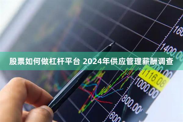 股票如何做杠杆平台 2024年供应管理薪酬调查